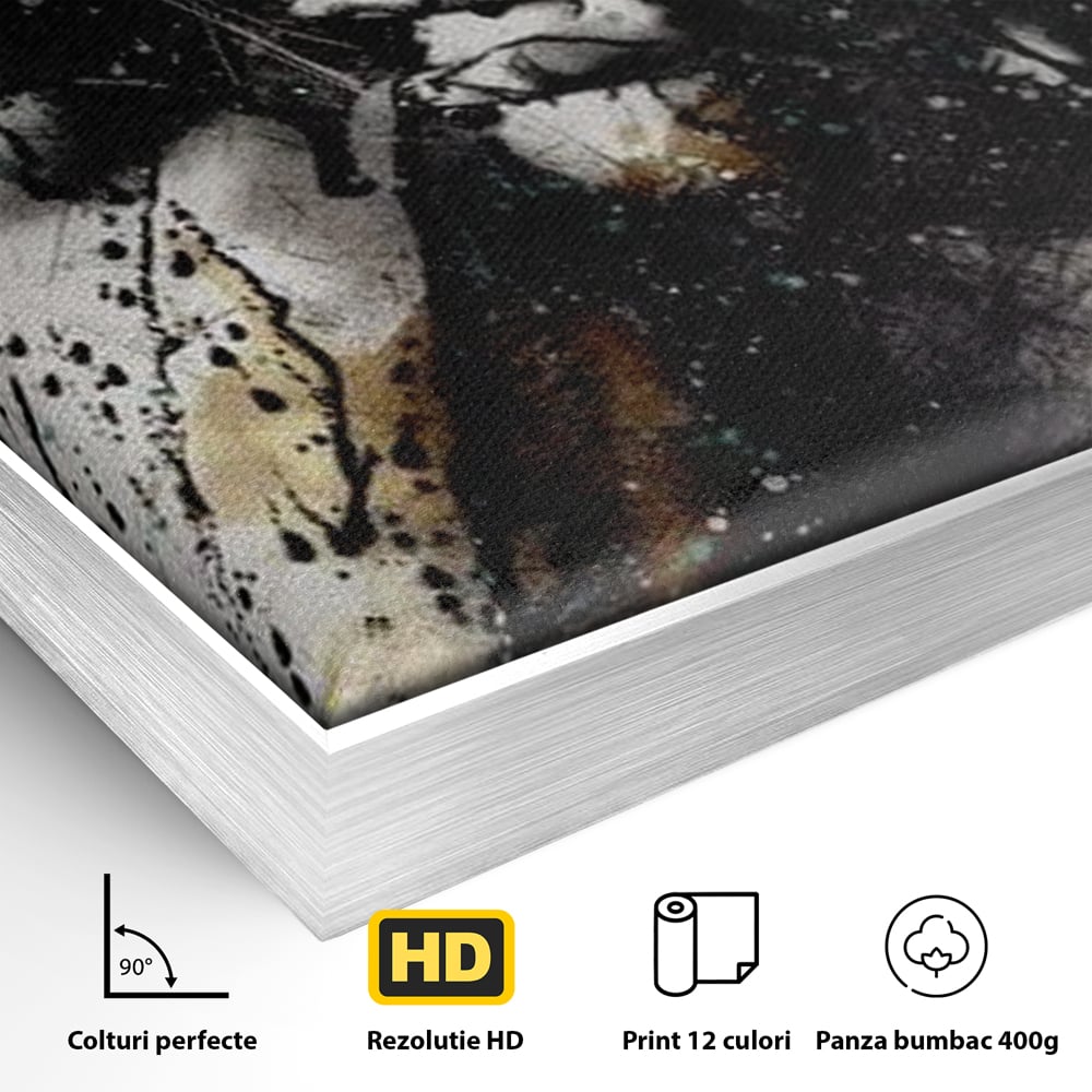Detaliu al suprafetei: tablou canvas cu silueta feminina si culori abstracte, in rama de aluminiu argintiu